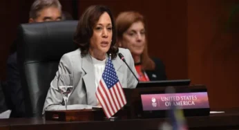 Kamala Harris Strategy Faces Mixed Reactions About Food Prices Skyrocket